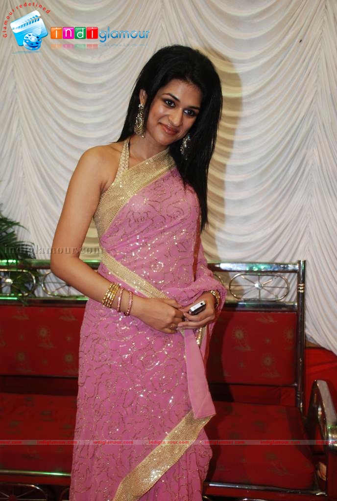 Shaan, Moushmi Chaterjee,Rupa Ganguly at Durga pooja Event hd photo